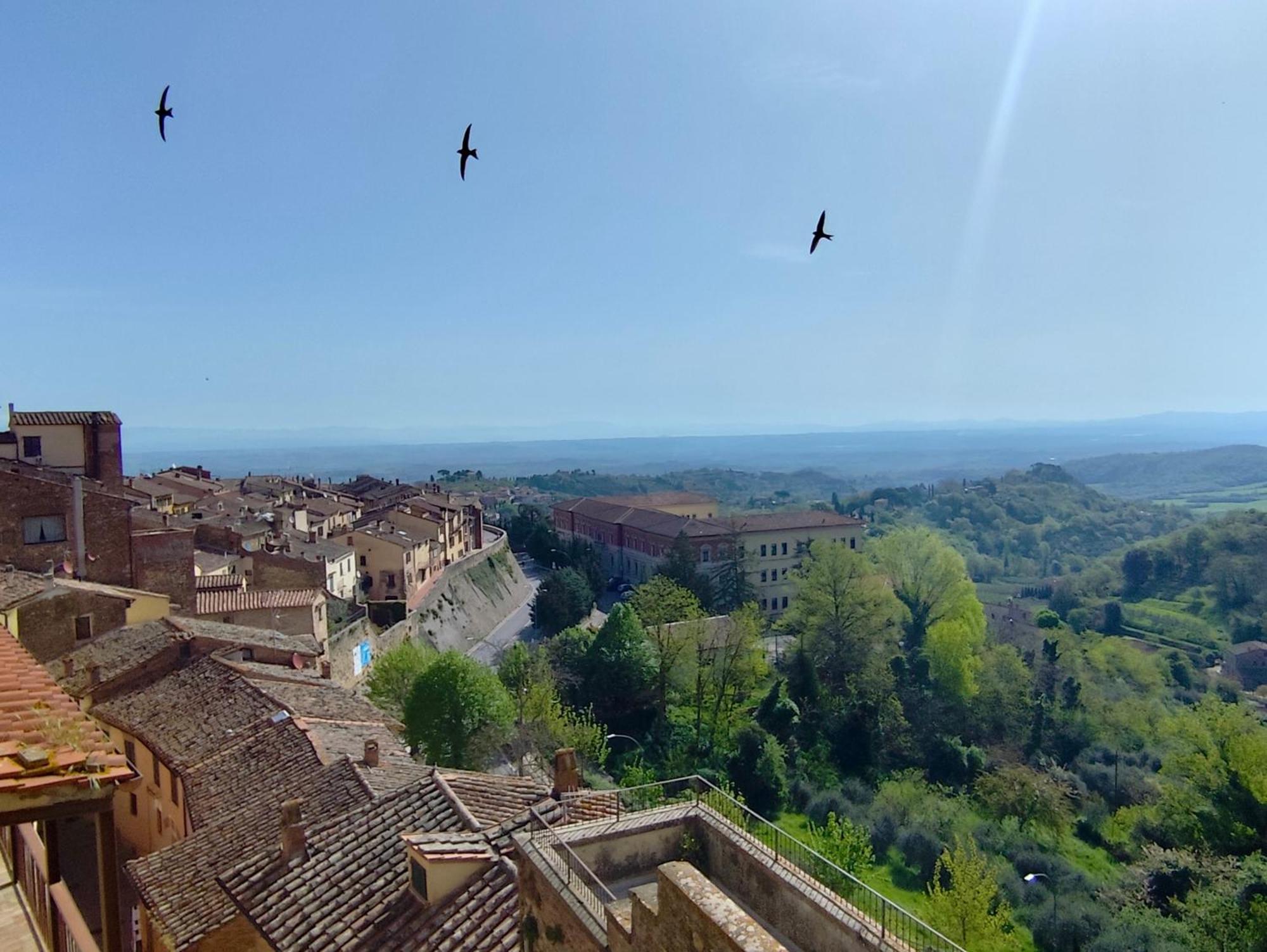 Dimora Dell'Erbe Apartment Montepulciano Stazione 외부 사진